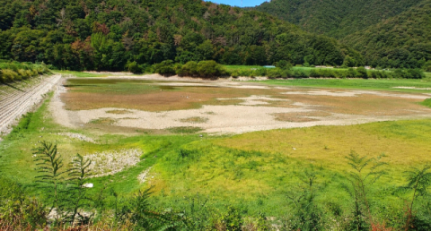 경북 영천시, 농업용수 확보 대책 '손놔'…영천댐 및 주요 저수지 저수율 급감