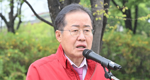홍준표 