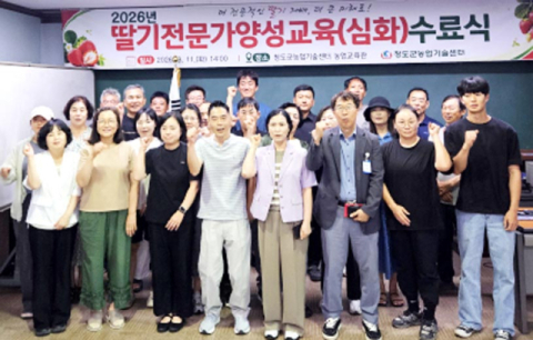청도군 딸기 농사 