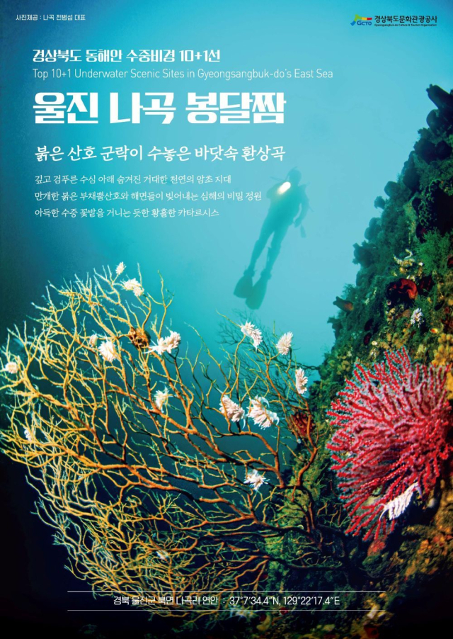 경북 수중비경 10+1에 3곳에 선정된 울진 나곡 봉달짬. 울진군 제공