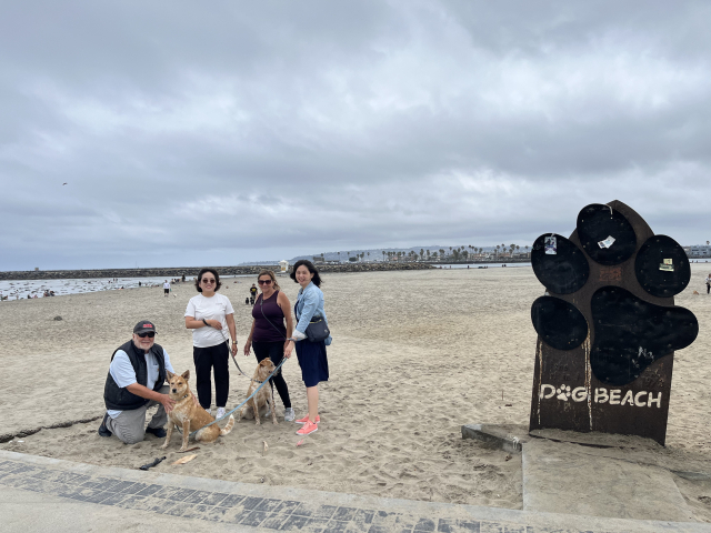 샌디에이고의 도그 비치(Dog Beach) 모습