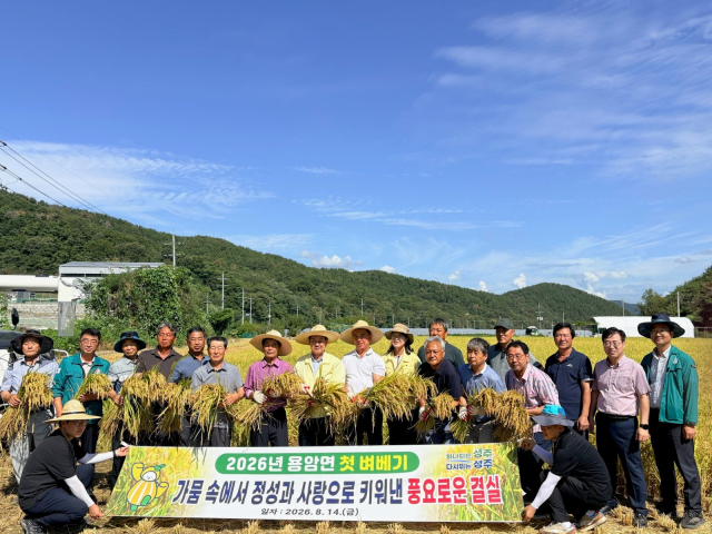 성주군 올해 첫 벼베기.