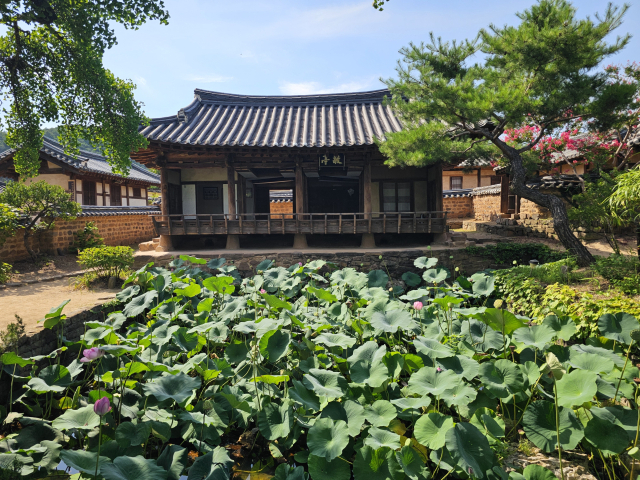 마치 경정은 연잎이 물결을 이루는 서석지 위에 핀 고결한 인격 같다.