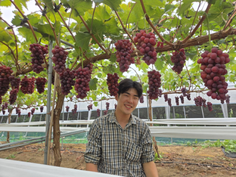 [청년! 농업·농촌에서 희망을 찾다] <18>신품종으로 소비자를 사로잡다(상)
