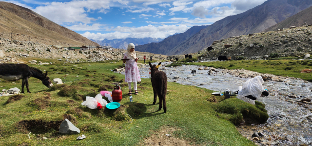 갈색 산맥에 둘러싸인 초록빛 누브라 밸리는 척박한 대지 위에 피어난 자연의 기적이다.