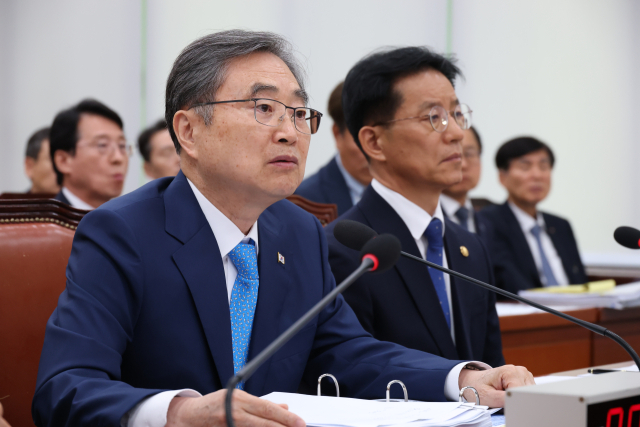 조현 외교부 장관 