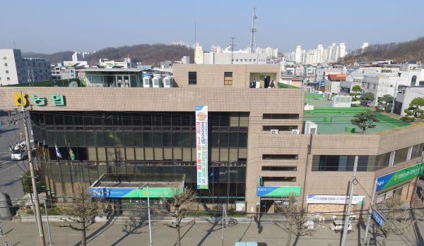 안동농협 이사 선거 금품살포…