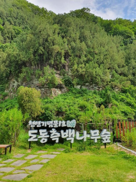 동구 도동. 대구시청 제공