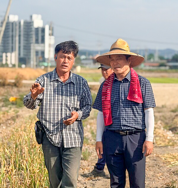 최유철 의성군수(오른쪽)가 당선인 시절인 지난 6월 마늘 수확 현장을 찾아 농민들과 현장 간담회를 열고 애로사항 등을 듣고 있다. 의성군 제공
