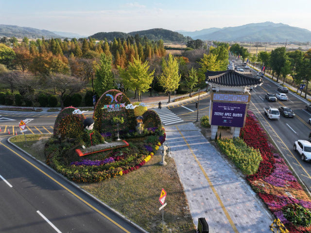 2026년 가로수 조성·관리 우수사례에서 장려상을 수상한 경주시 2025 APEC 정상회의를 빛낸 글로벌 가로경관. 경북도 제공