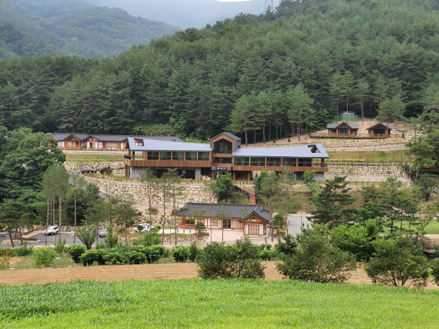 치유의 숲 전경