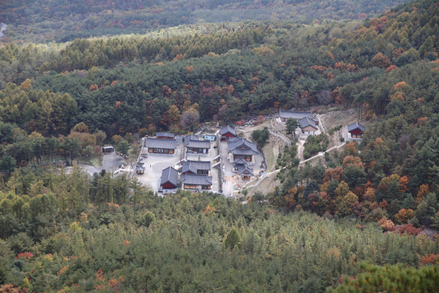 성주가야산 자락의 심원사. 울창한 숲과 수려한 풍광 속에서 온전한 휴식과 명상을 즐길 수 있는 템플스테이 명소이다. 성주군 제공