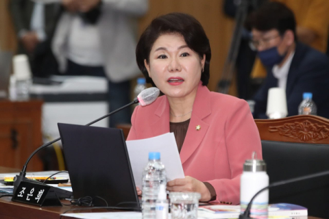 [단독] 문화예술기관에도 '친명 낙하산'?…野 조은희 