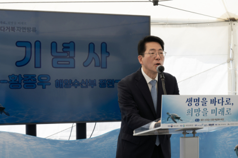 치료 마친 바다거북 12마리, 제주 바다로 돌아갔다