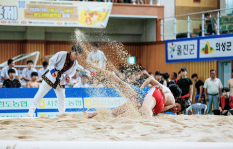 2026 경상북도씨름왕선발대회'  청도군 종합 우승