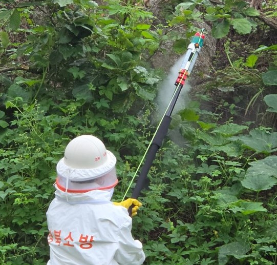 경북소방본부 관계자가 벌집을 제거하고 있다. 봉화소방서 제공