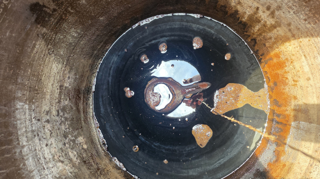 뚜껑 속 100년의 시간…안동된장 '씨간장'의 비밀