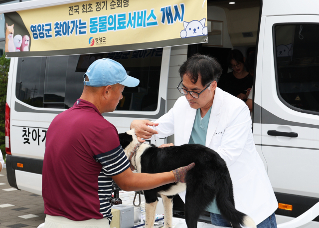 3일 영양군 입암면행정복지센터 일원에서 찾아가는 동물의료 서비스를 받고자 현장을 찾은 영양군민들이 반려동물의 진료를 보고 있다. 김영진 기자