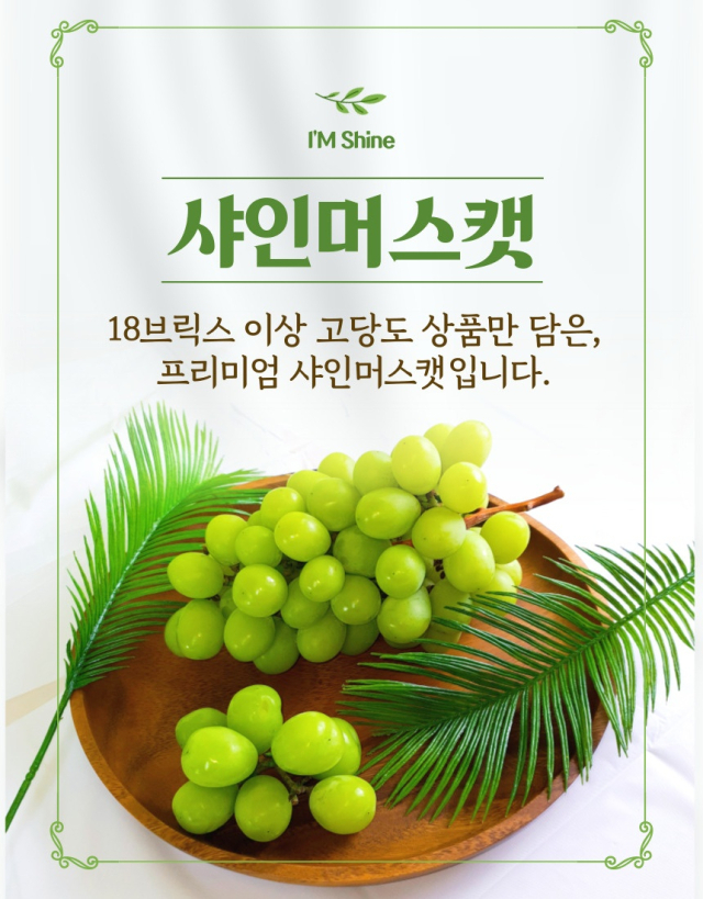 프리미엄 샤인머스캣.