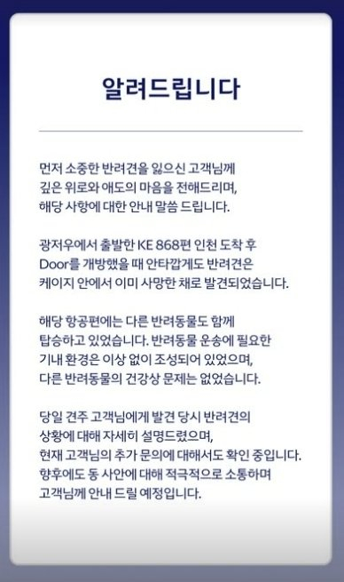 대한항공 화물칸서 반려견 사망…견주 