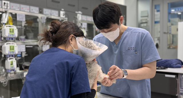 본동물메디컬센터 수성점, 대구 첫 전기항암치료 도입