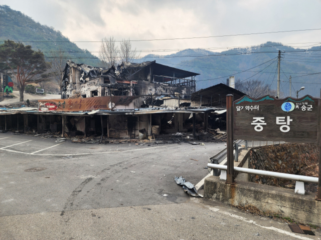 지난해 3월 27일 대형산불이 휩쓸고 지나간 뒤 큰 피해를 입은 청송군 청송읍 달기약수터 마을. 전종훈 기자