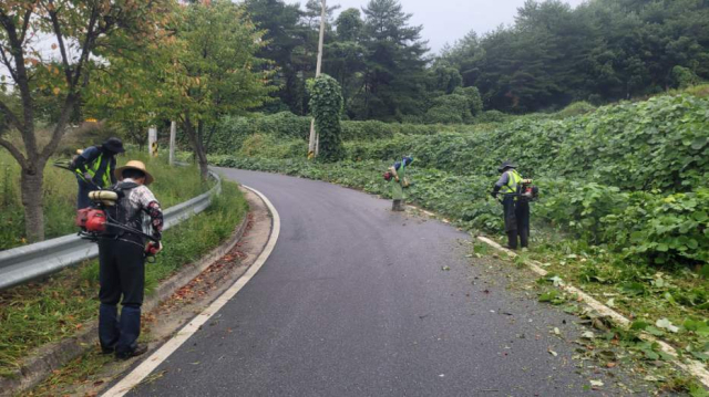 지난해 추석을 앞두고 도로변 정비를 위해 수목·풀베기 작업을 하고 있는 모습. 영주시 제공