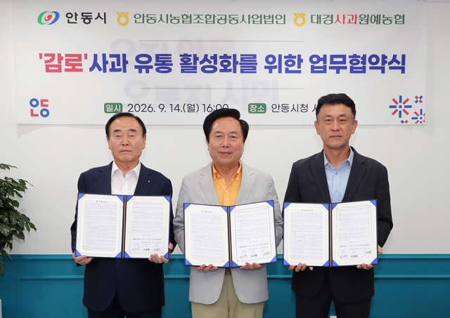 안동시가 감로 사과 유통 활성화에 나선다. 안동시 제공