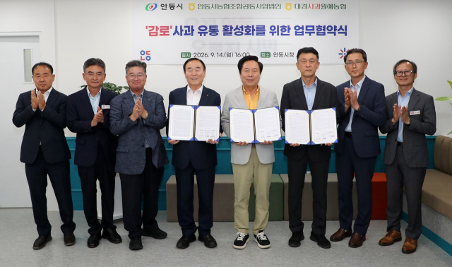 안동시가 감로 사과 유통 활성화에 나선다. 안동시 제공