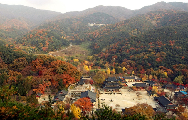 모악산 마실길의 하이라이트 금산사. 백제 법왕 원년에 창건돼 1400년 역사를 간직한 미륵신앙의 원천이자 성지이다.