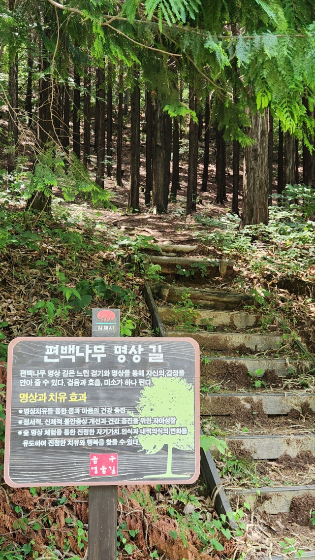금구 명품길의 가장 큰 매력인 편백나무 숲. 빽빽하게 들어선 편백나무 숲 사이를 걷다 보면 피톤치드 향이 가득 스며든다.