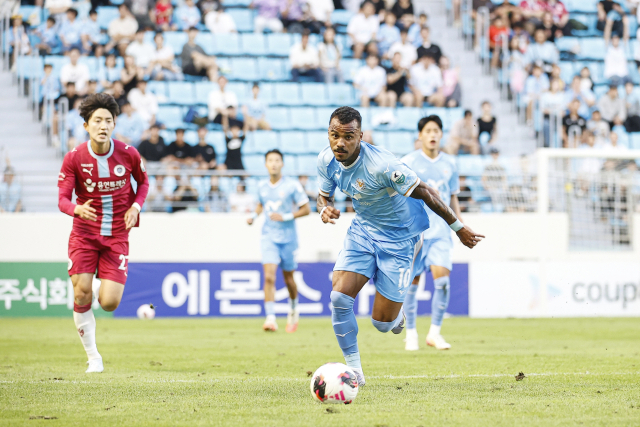 프로축구 K리그2 대구FC의 세라핌. 대구FC 제공