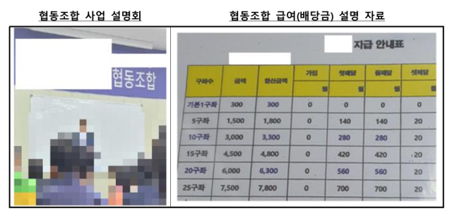협동조합 사기 사례. 금감원