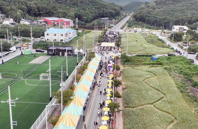 칠곡 석적읍 승격 20주년 읍민 화합의 장. 칠곡군 제공