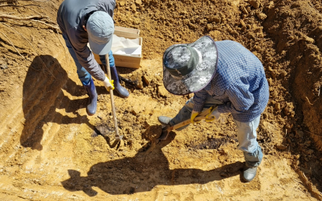 경북 안동지역에서 봉분 이전을 위한 이장 작업이 진행되고 있다. 독자 제공