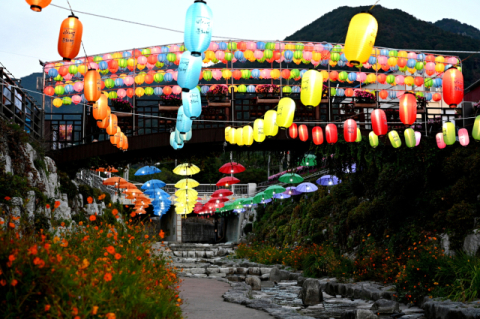 벌써 40주년! 우포따오기와 함께하는 제40회 비사벌문화제!