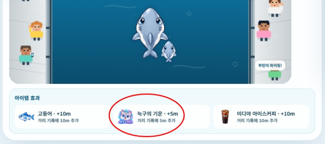 대전 오월드 탈출 이후 한동안 행방이 묘연했던 늑대 