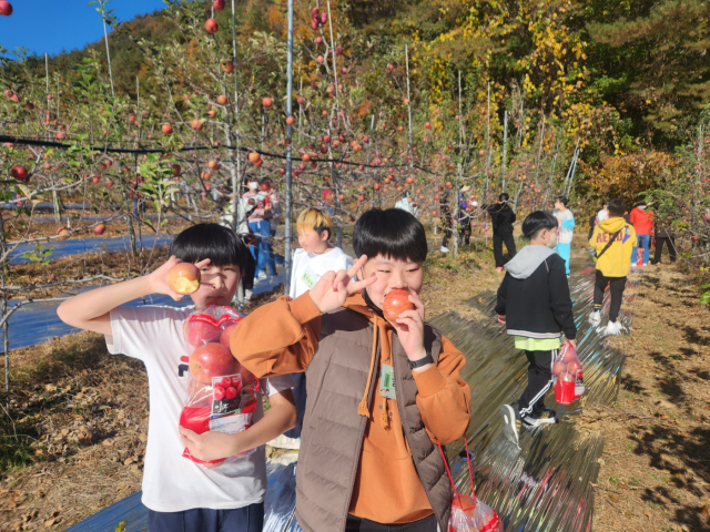 영·호남 교류 활성화 및 학생의 학습 경험 확대를 목표 경북도교육청이 추진하는 