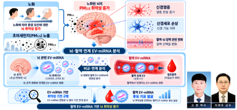 국립창원대 고준 박사, 교육부 기본연구B 과제 선정돼 '초미세먼지에 따른 노화 뇌 취약성' 연구