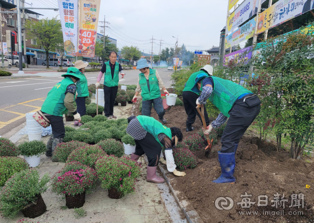 새마을운동합천군지회 회원들이 29일 주요 도로변 화단에서 가을꽃을 식재하는 작업을 하고 있다. 합천군 제공