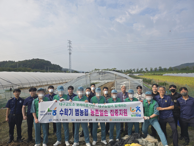 대구농협(본부장 손영민)과 대구교도소(소장 김진아)가 지난 29일 대구 달성군 하빈면 일대 농가를 찾아 농촌일손돕기 봉사활동을 진행했다. 대구교도소 소속 모범수형자, 교도관, 대구농협 임직원 등 30여명이 참여했다. 대구농협 제공