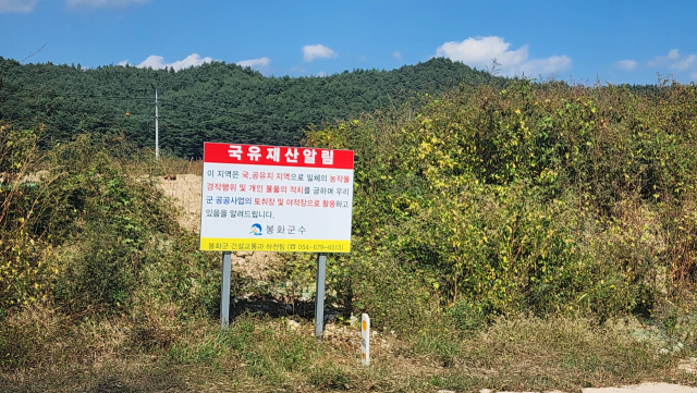 봉화군이 국유지 앞에 설치한 국유재산알림판. 손병현 기자