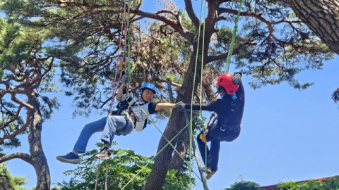 인삼축제 보고 농촌서 하룻밤…외국인 35명 '영주의 가을' 즐긴다