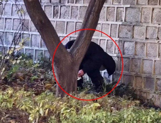 지난해 한 관람객이 경복궁 돌담 옆에서 용변을 보는 모습. 서경덕 성신여대 교수 SNS