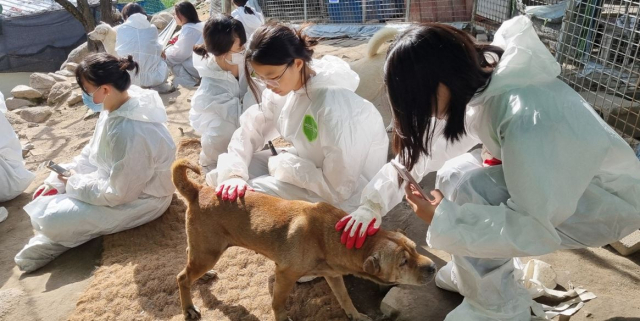 대구 경일여중 청소년 봉사단 