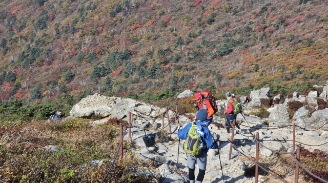 산행의 복병은 하산…무릎 지키는 '두 가지' 방법