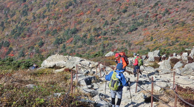 산행의 복병은 하산…무릎 지키는 '두 가지' 방법