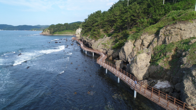 유네스코 생물권보전지역에 신청한 포항 호미반도 전경. 포항시 제공.