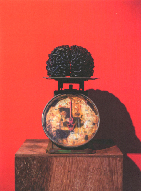 김승영, 뇌, 쇠사슬, 저울, 핀, 37x20x24cm, 12kg, 2020