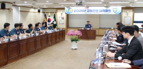 대구 교통사고 전년 대비 사망자 27.1% 증가…9월 말 기준 61명